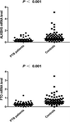 Impact of m6A demethylase (ALKBH5, FTO) genetic polymorphism and expression levels on the development of pulmonary tuberculosis